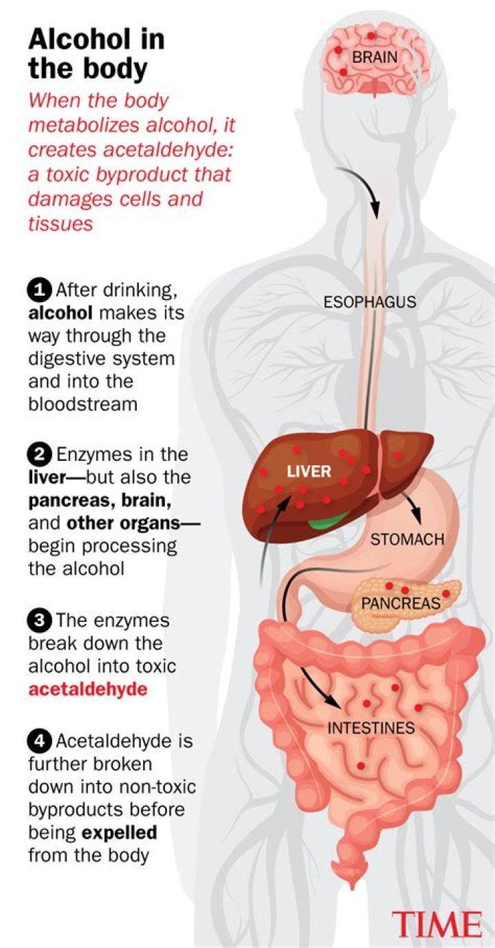 Why does alcohol make my stomach burn?