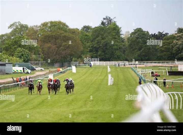 Why has Fontwell races been abandoned?