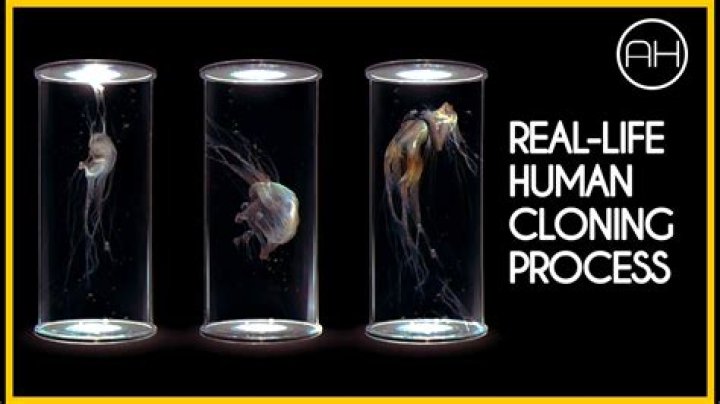 Why humans should not be cloned?