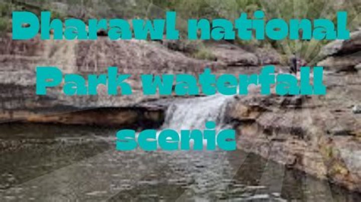 Why is Dharawal National park important?