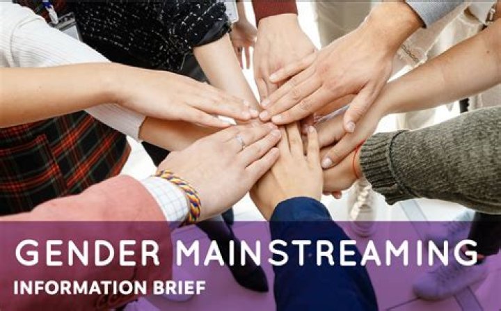 Why is gender mainstreaming important in an Organisation?
