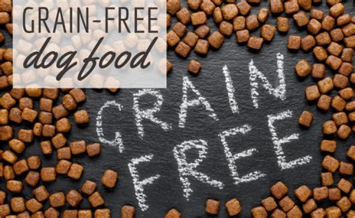Why is grain free not good for dogs?