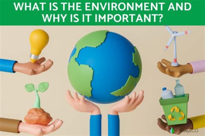 Why is GSSP important?