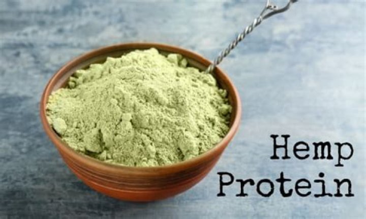 Why is hemp protein bad for you?