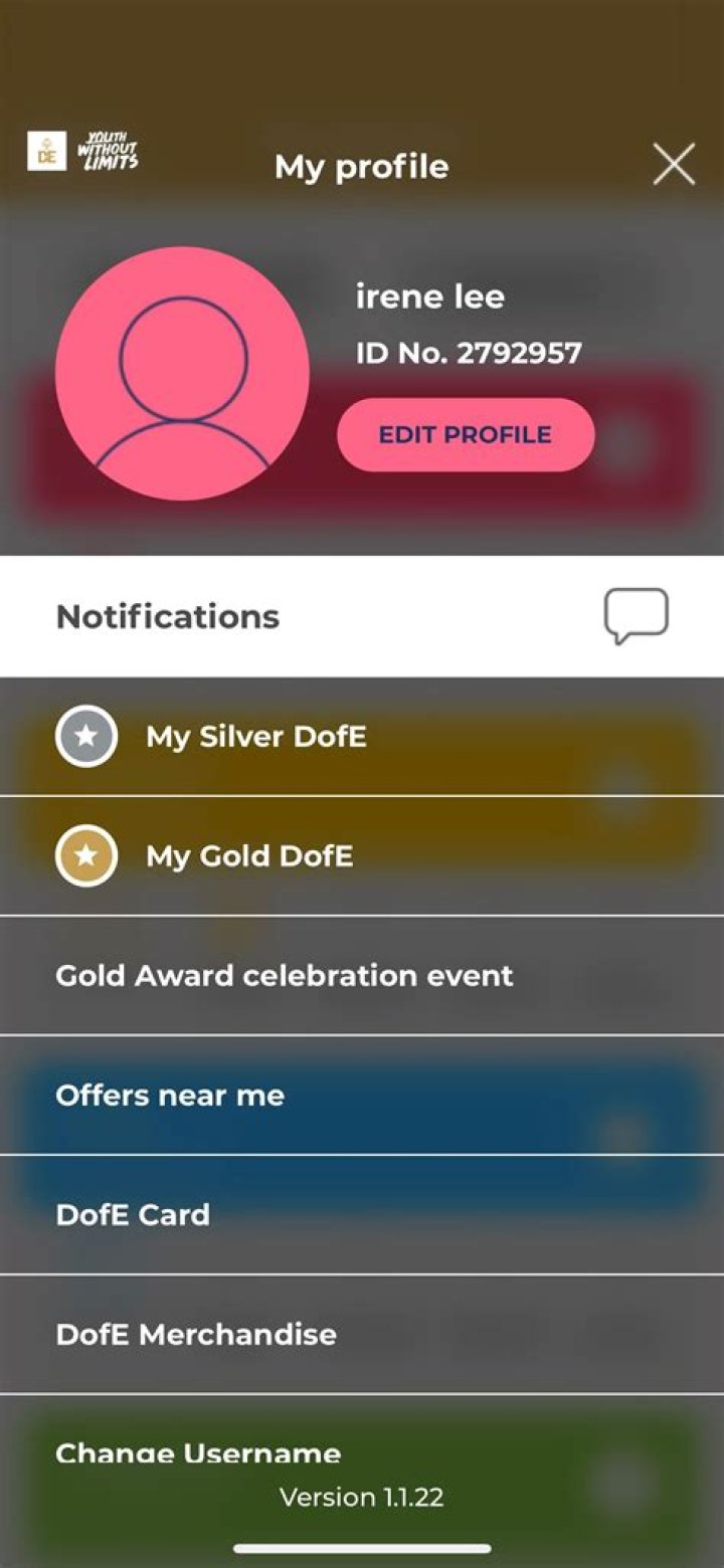 Why is my DofE app not working?