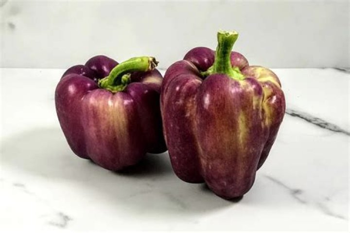 Why is my green pepper purple?