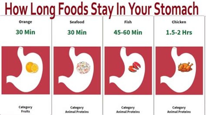 Why is my stomach so loud when digesting food?