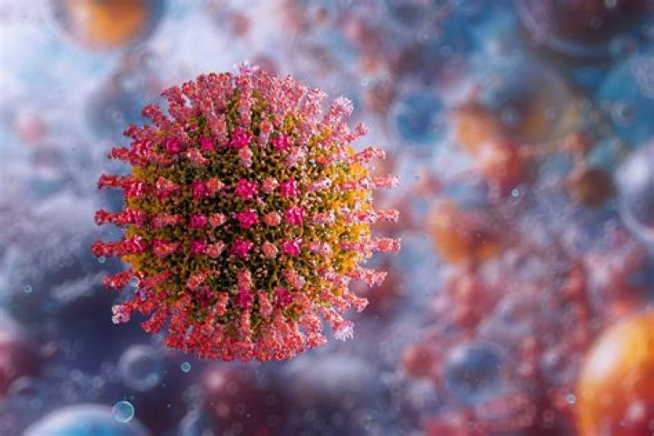 Why is paramyxovirus famous?