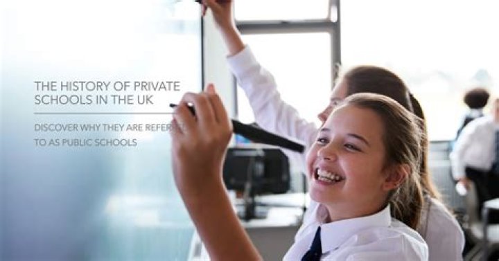 Why is private school called public in the UK?