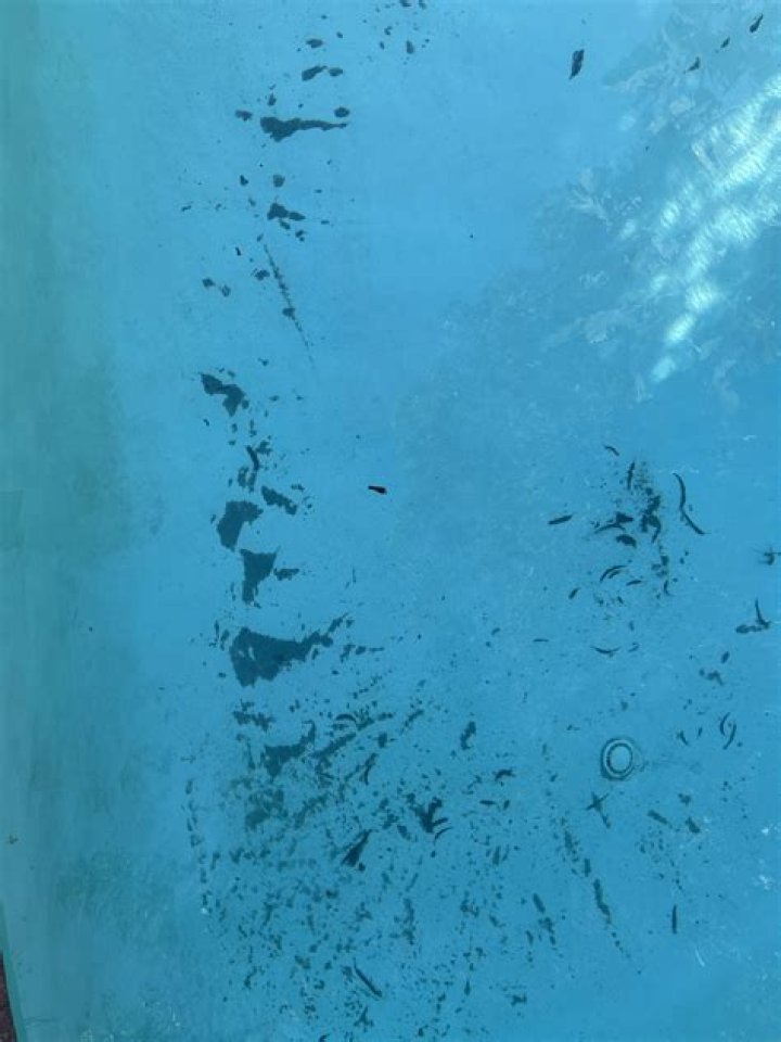 Why is sand coming into my pool?