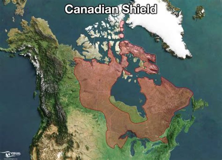 Why is the shield on the eagle?
