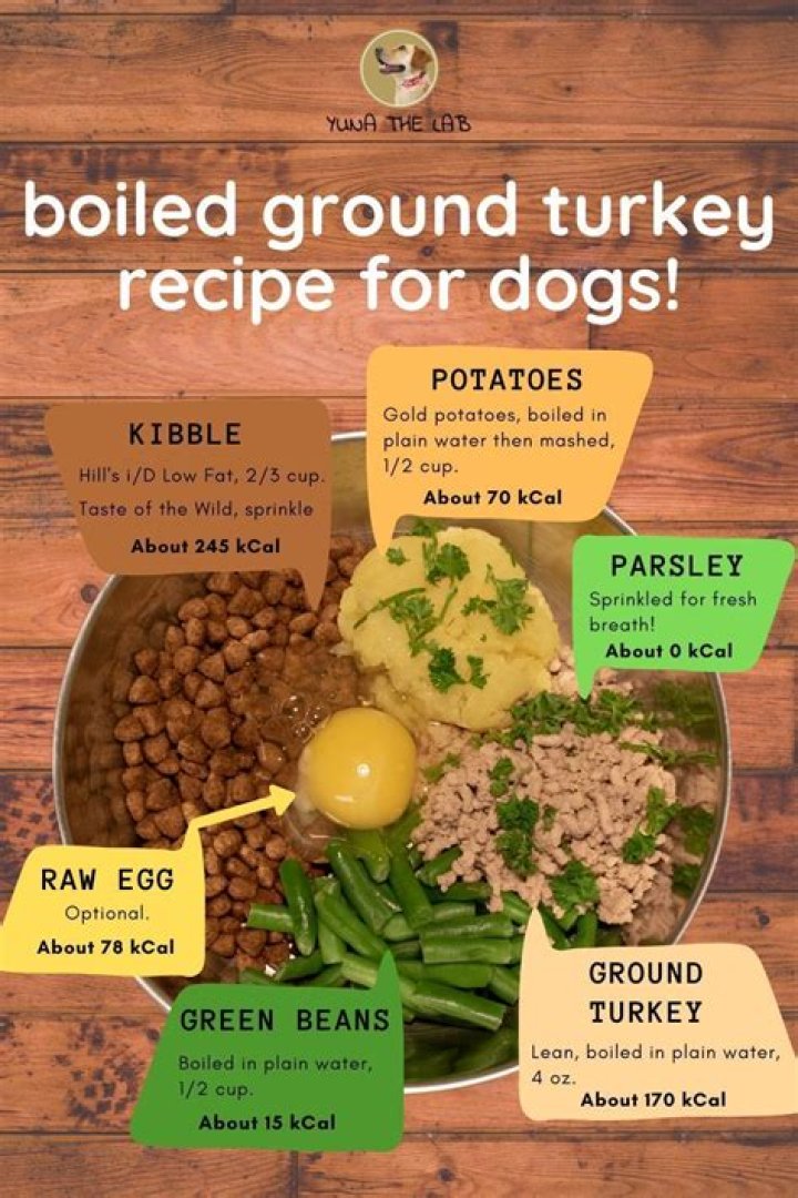 Why is turkey bad for a dog?