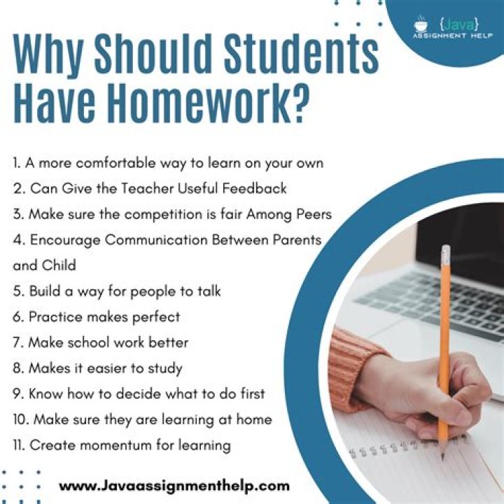 Why should students work during holidays?
