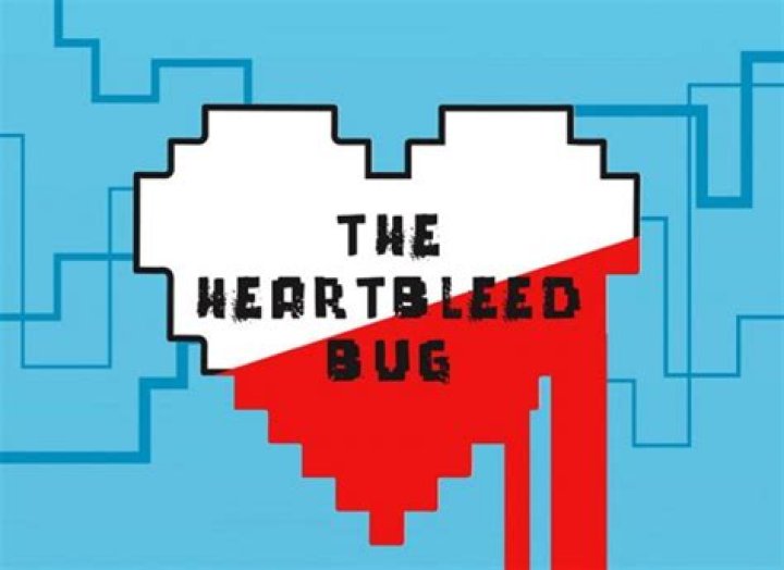Why was the heartbleed bug so concerning?