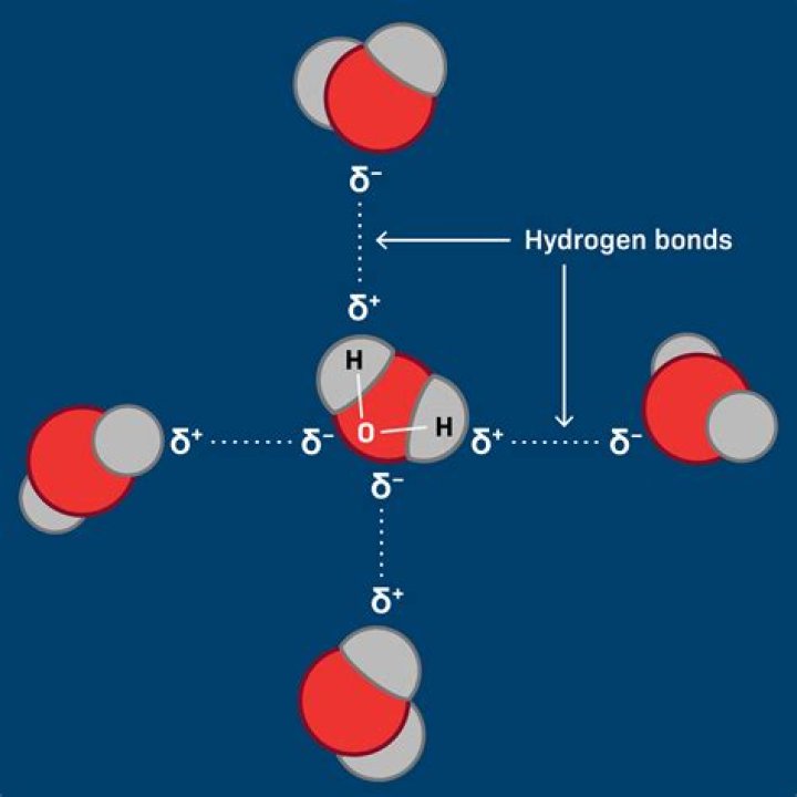 Why water molecules orient the way they do around the anion?