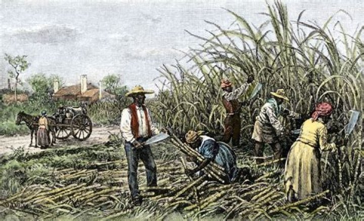 Why were slaves so important to farmers in the South?