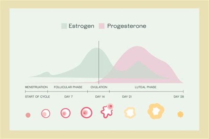 Why would a man take medroxyprogesterone?