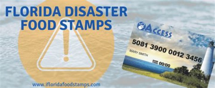 Will Louisiana get disaster food stamps for 2021?